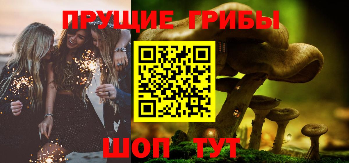 Псилоцибиновые грибы MAGIC MUSHROOMS  Вход с VPN  Ульяновск 